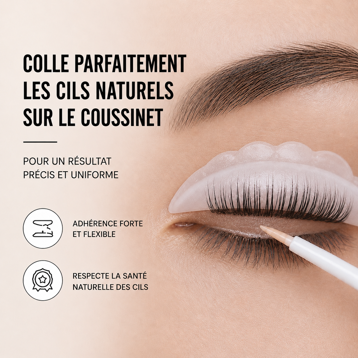 colle pour rehaussement