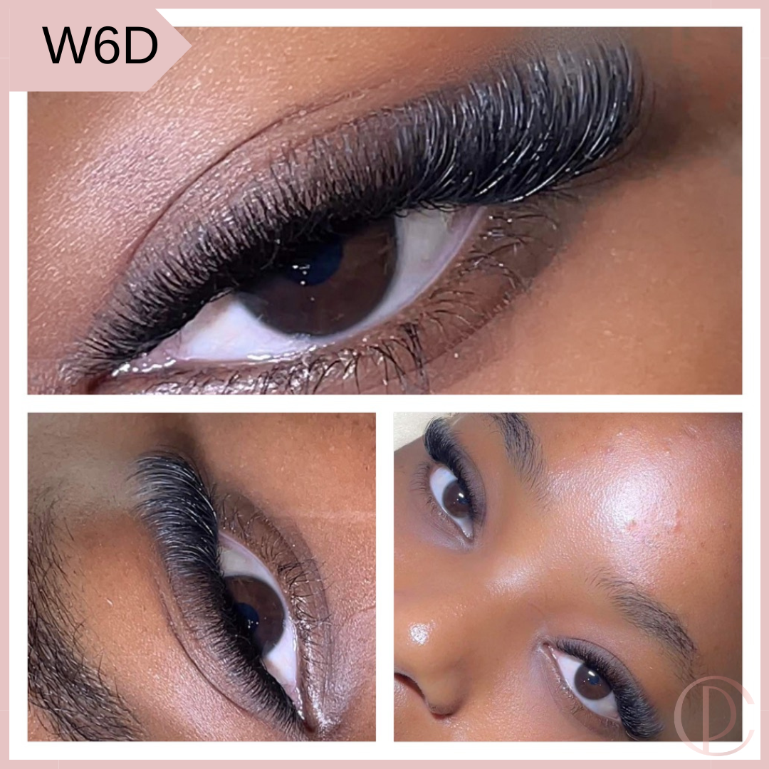 Cils W6D (Nouvelle collection)