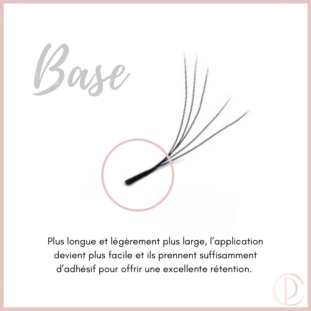Cils W6D (Nouvelle collection)