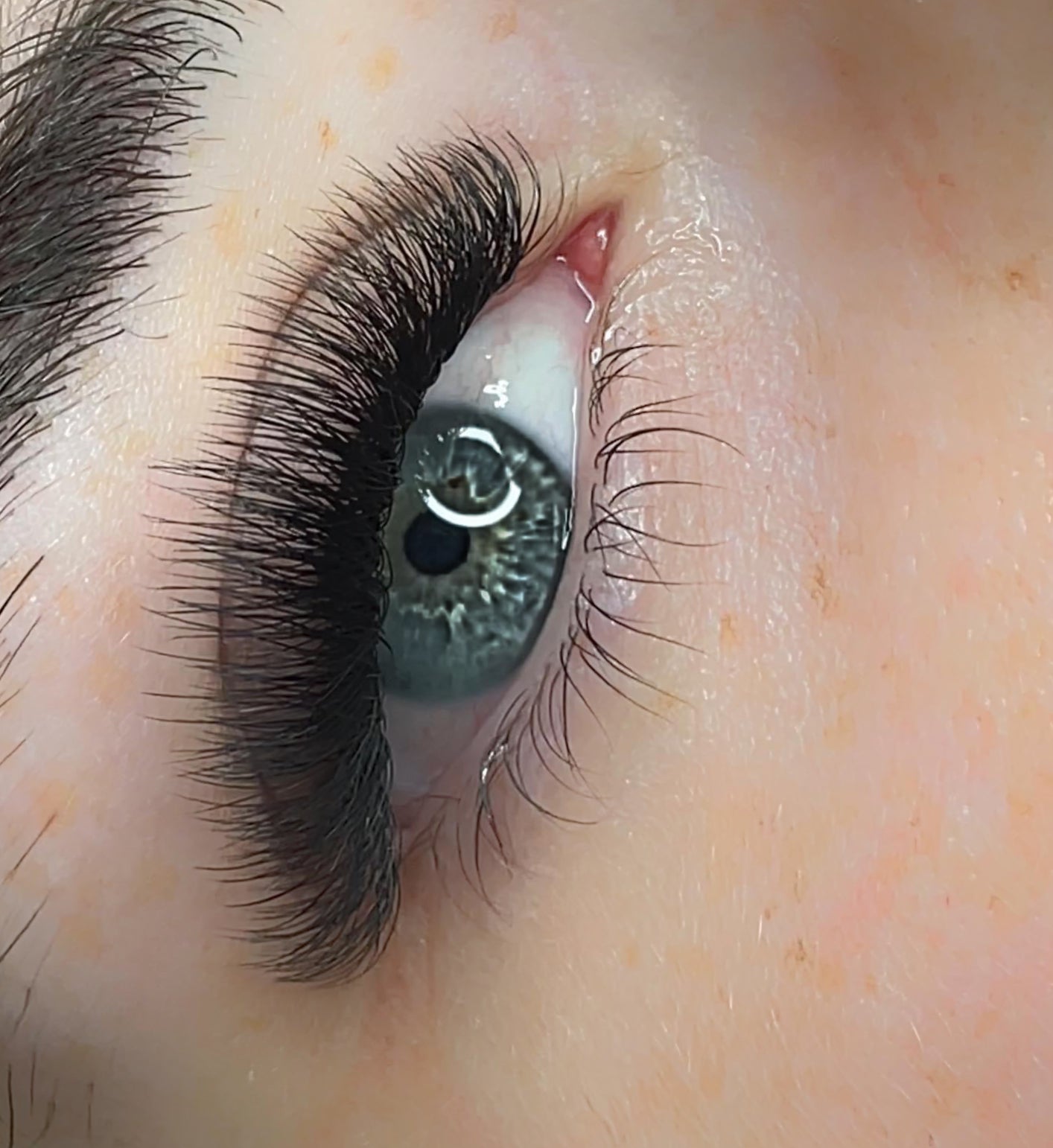 Cils W6D (Nouvelle collection)