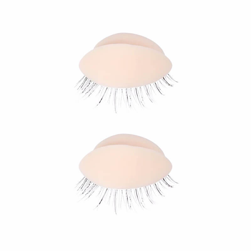 241715811_2969189649990146_7912402961830649088_n