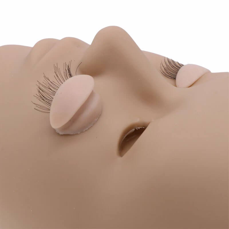 241724724_143971637927945_1064058638129442079_n