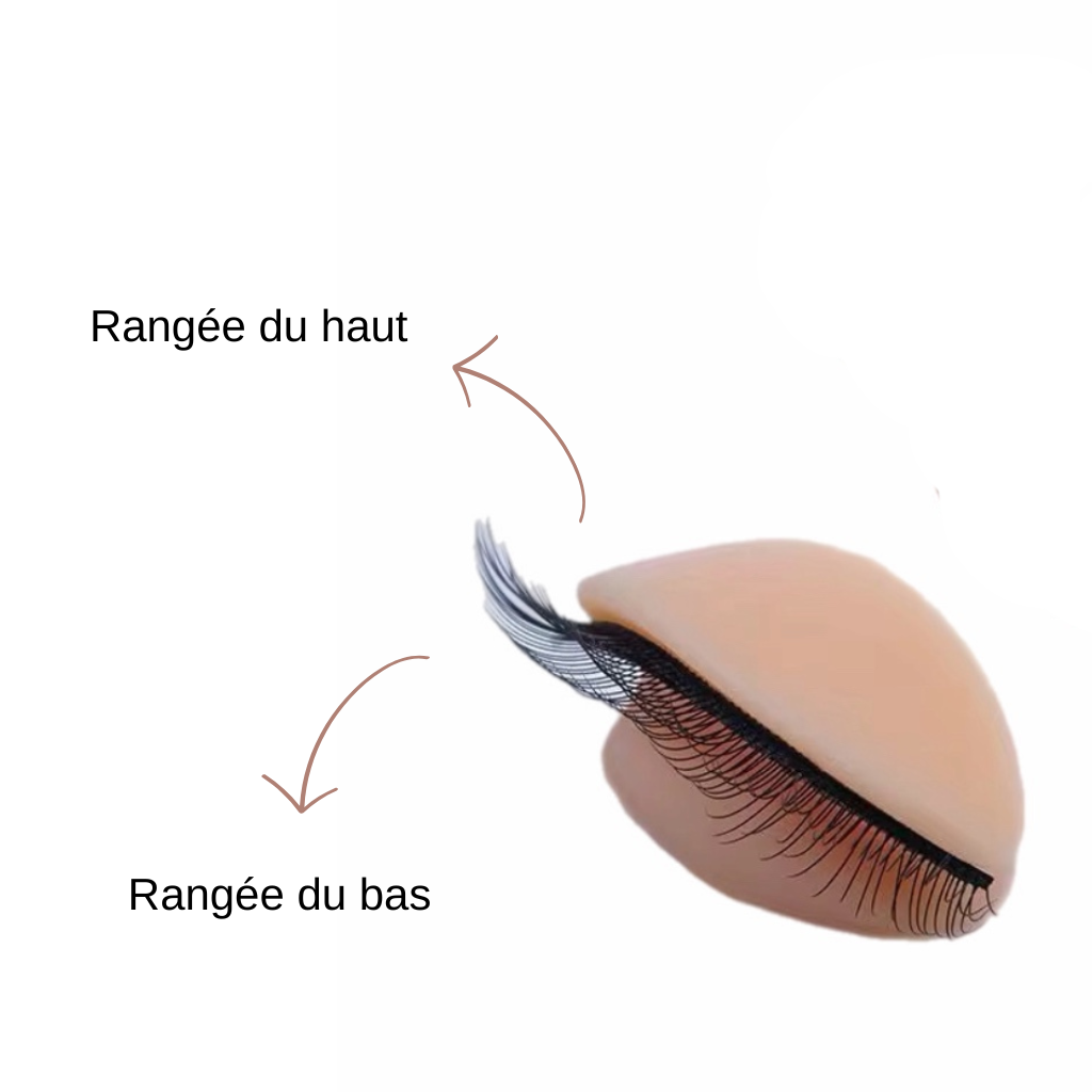paupières amovibles double rangée
