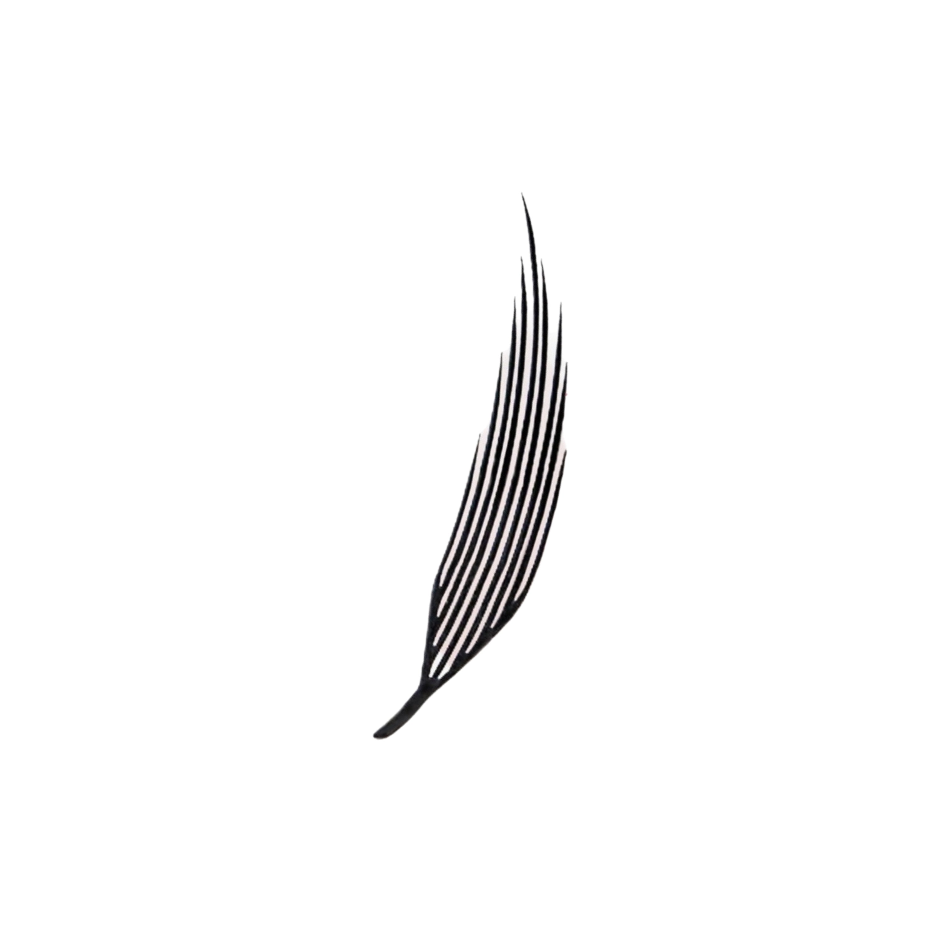 Feather